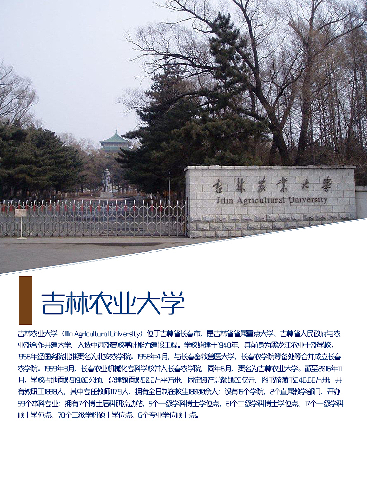 吉林大学画册（图ZMTQzNjc3NTA0） - 书籍/画册 - 站酷设计师浅墨幺幺原创素材 - 站酷ZCOOL