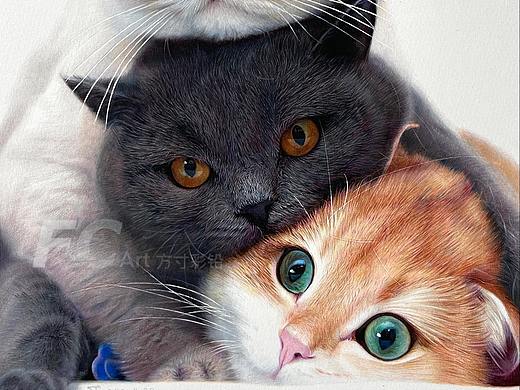 彩铅作品-猫