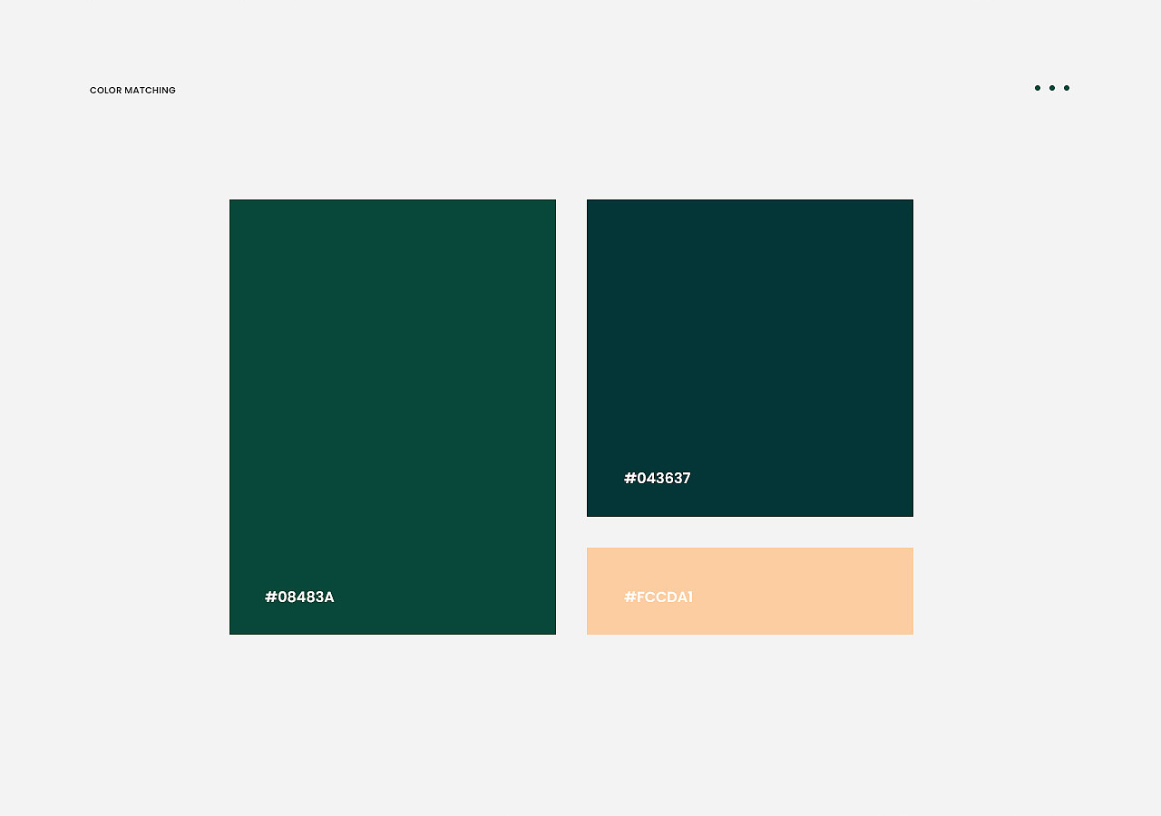 婴儿辅食机 ✖ 养生壶