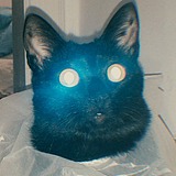 KEkekekekekek的头像