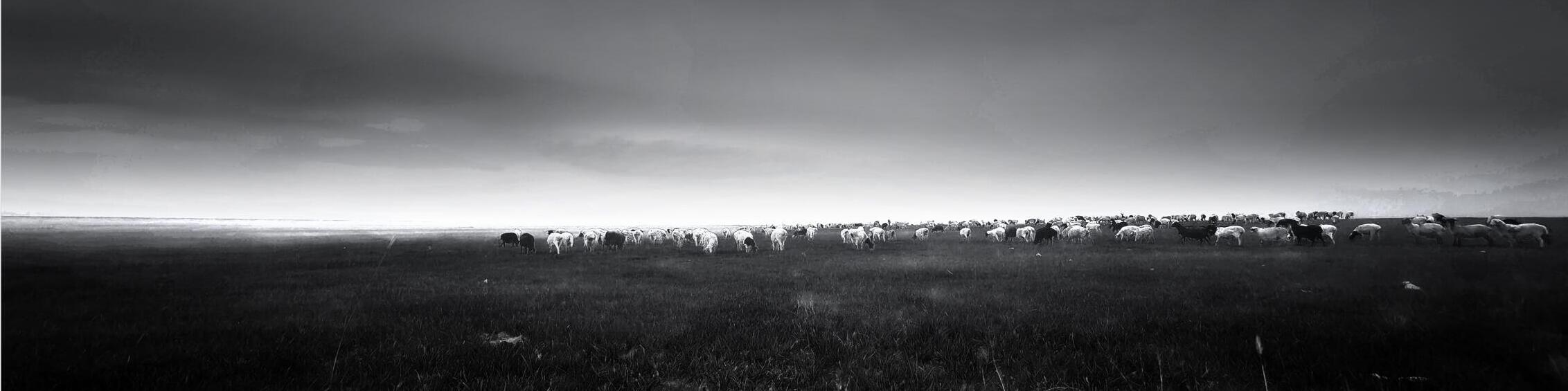 須彌先生的個(gè)人主頁(yè)（封面預(yù)覽） - 主頁(yè)封面設(shè)置 - 站酷設(shè)計(jì)師須彌先生原創(chuàng)素材 - 站酷ZCOOL