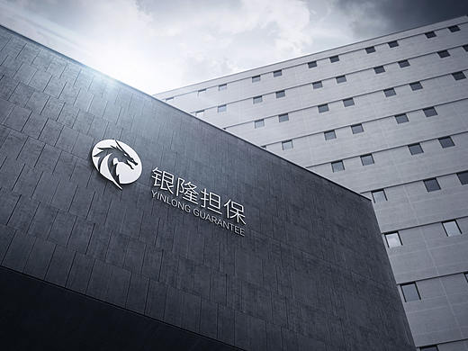 银隆担保logo品牌延展