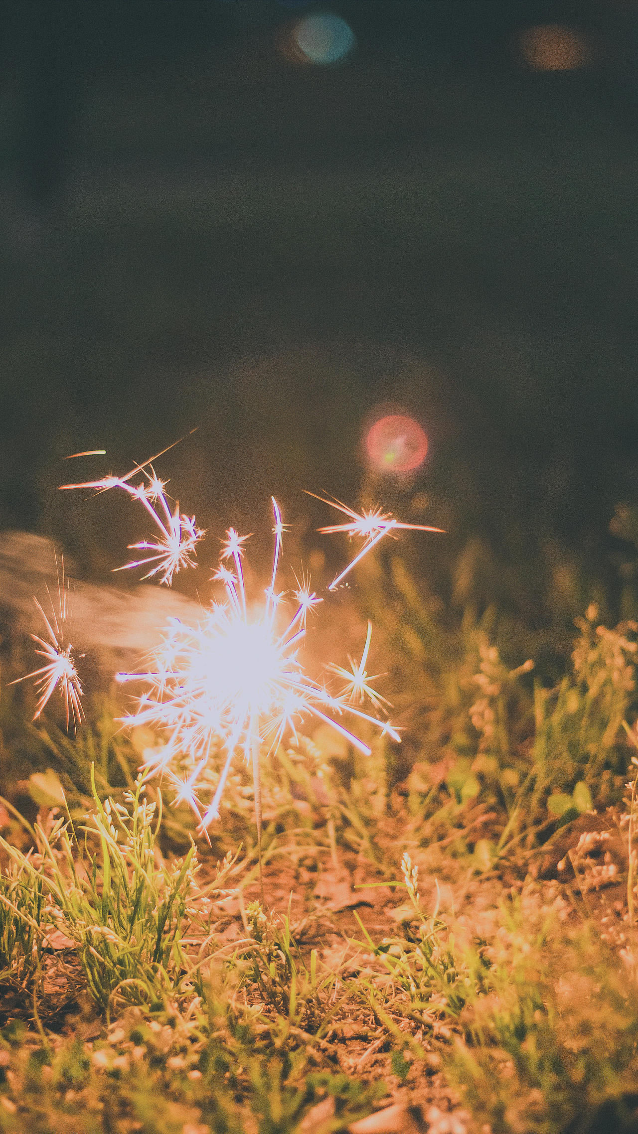 夜-烟花璀璨-孤独患者