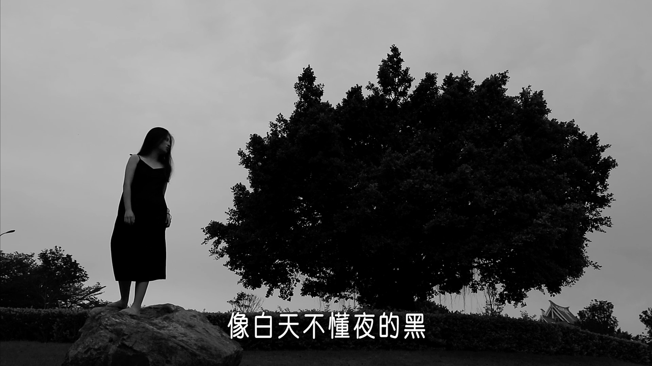 《白天不懂夜的黑》