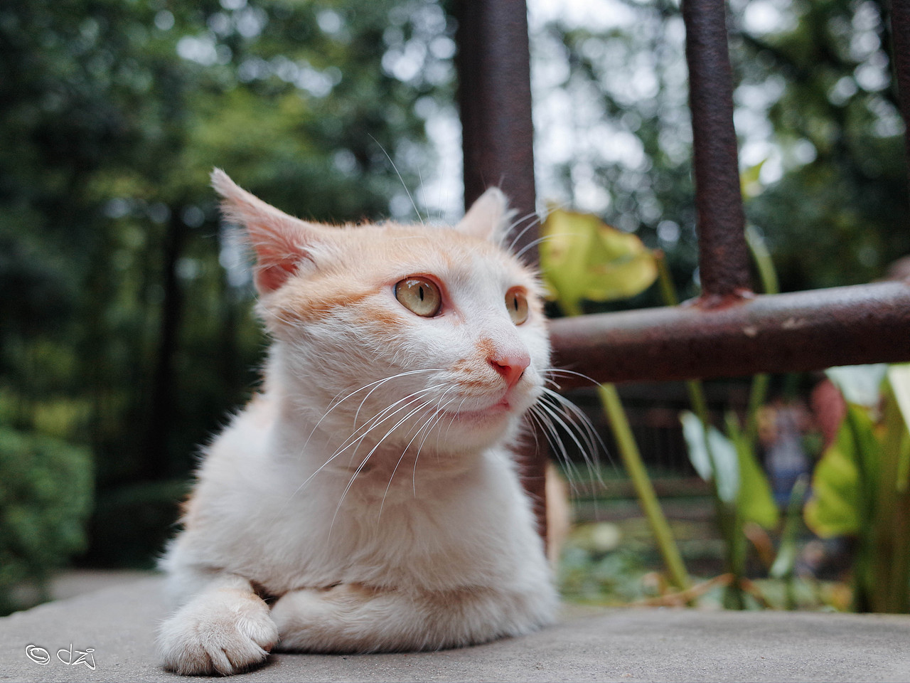 呵哈额吱嘻 理光GR拍摄作品一(广东韶关、阳江,四川成都)