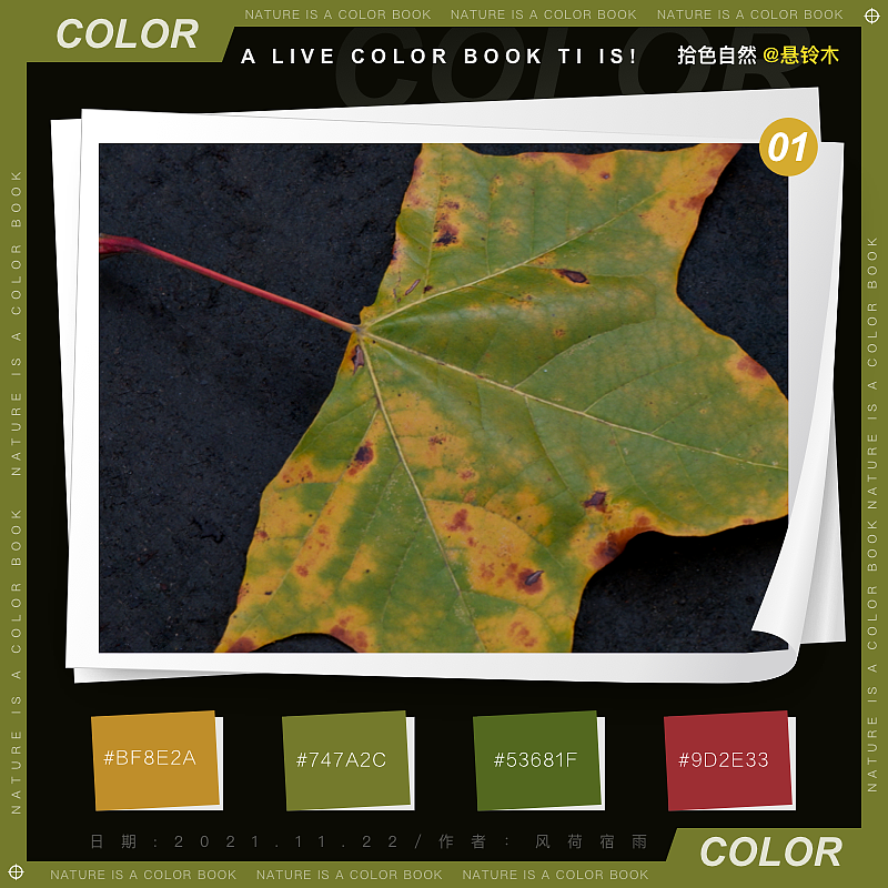 色彩（懸鈴木）（圖ZMjgyNzQ5MTE2） - 其他 - 站酷設計師風荷宿雨原創(chuàng)素材 - 站酷ZCOOL