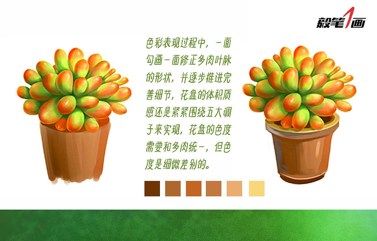 【毅笔一画】多肉PS技法篇