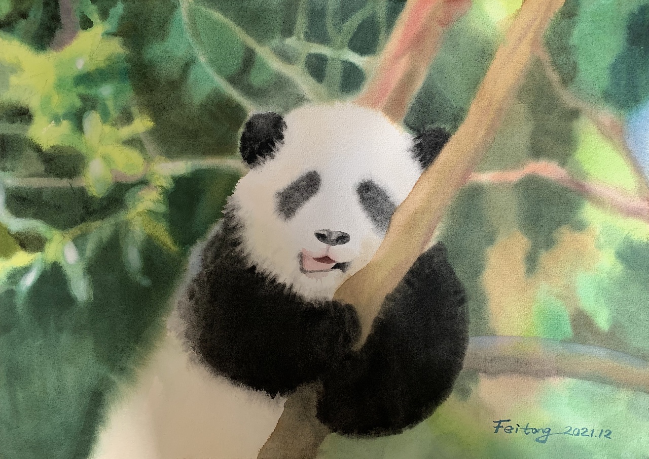 大熊猫的画作图片