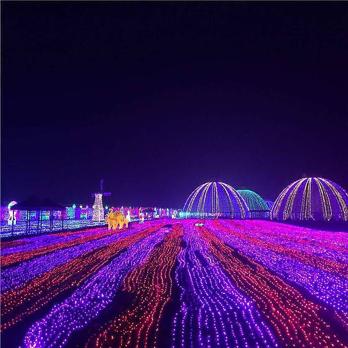 景区户外夜游亮化草坪亮化树木亮化室内亮化灯光照明