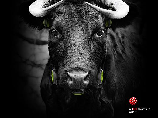 牦牛可穿戴式智能设备