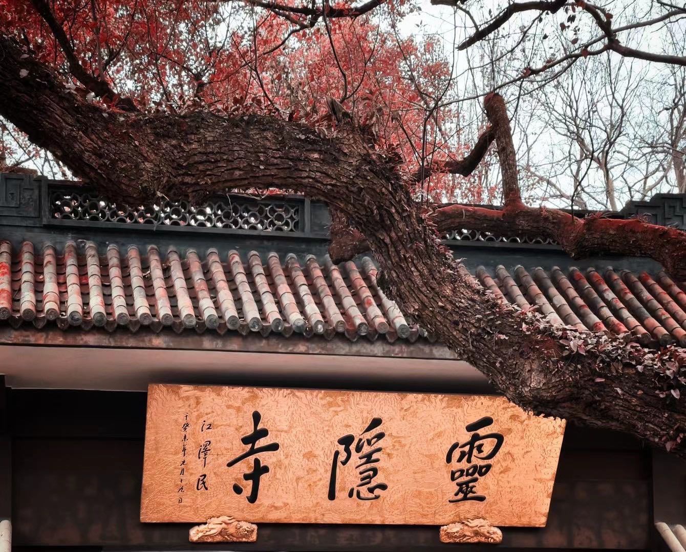 阿飞的大蝴蝶的个人主页（封面预览） - 主页封面设置 - 站酷设计师阿飞的大蝴蝶原创素材 - 站酷ZCOOL