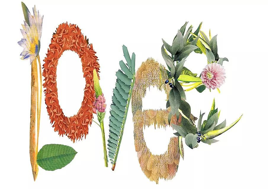 复古花卉主题系列女装花板、图案