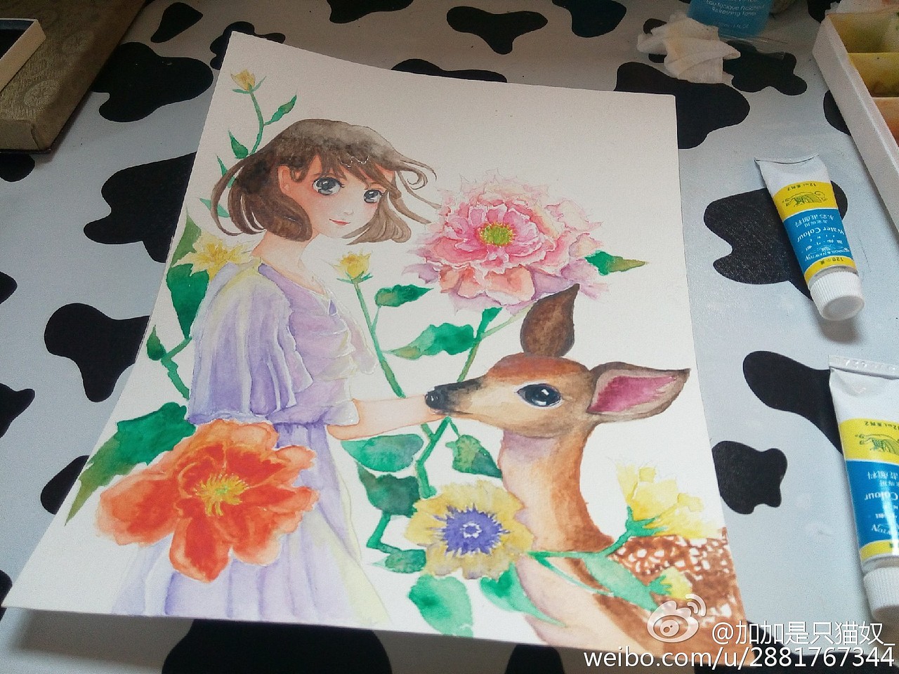 这些年我画的画（图ZNDg5ODc3ODQ=） - 艺术插画 - 站酷设计师加加是猫奴原创素材 - 站酷ZCOOL
