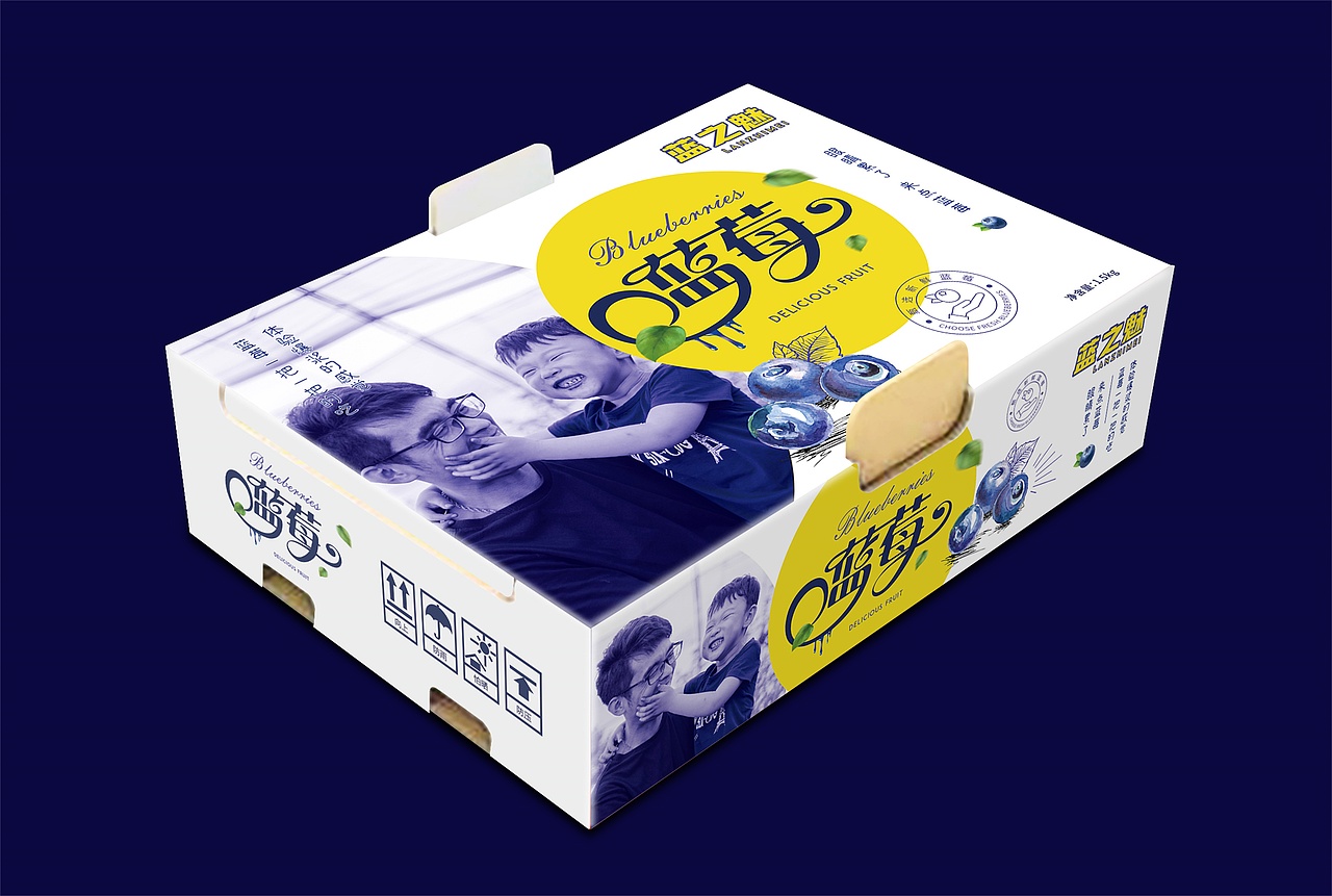 水果包装设计——蓝莓包装
