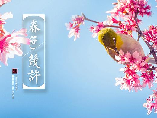 微信长图 春色