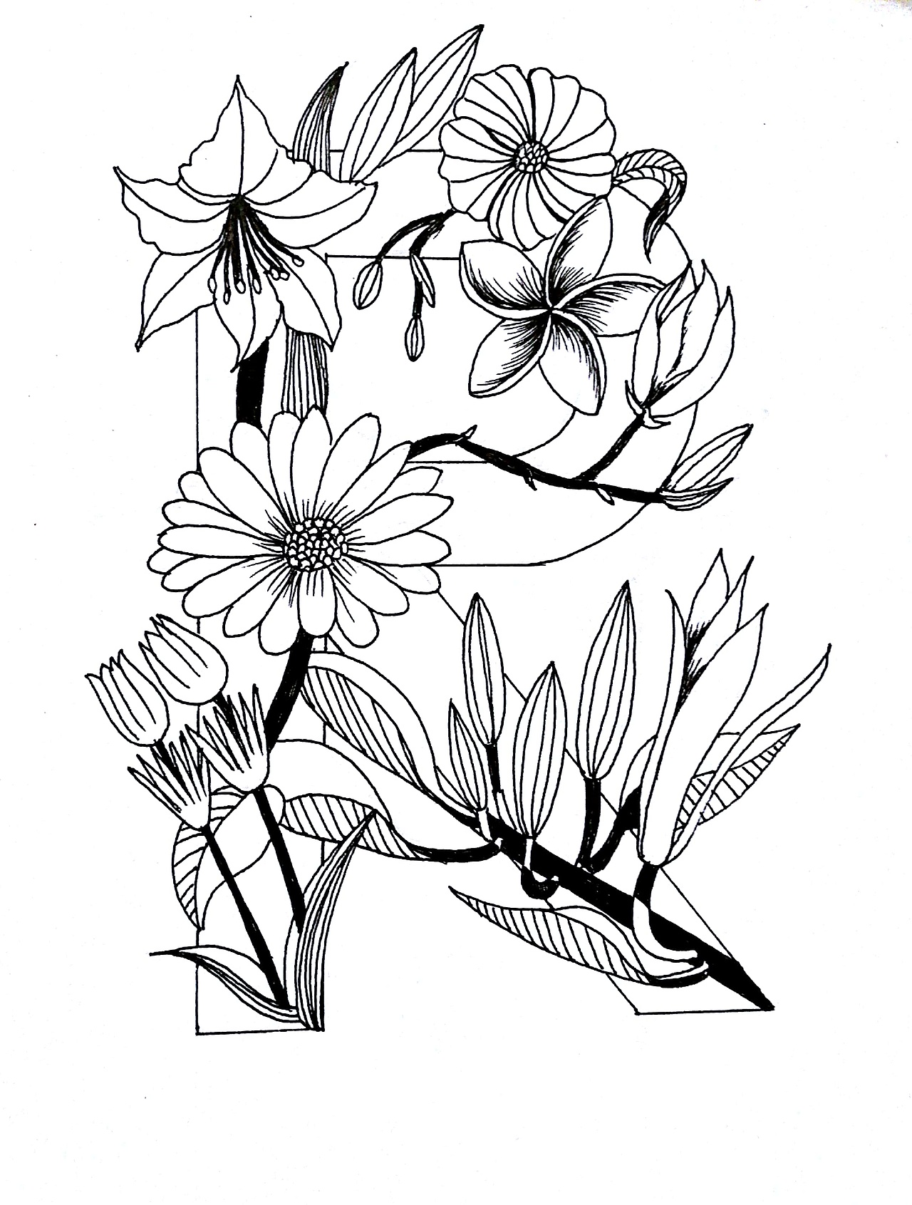 系列字母花卉插画（图ZMTQxMDk1OTU2） - 绘本 - 站酷设计师麟松原创素材 - 站酷ZCOOL