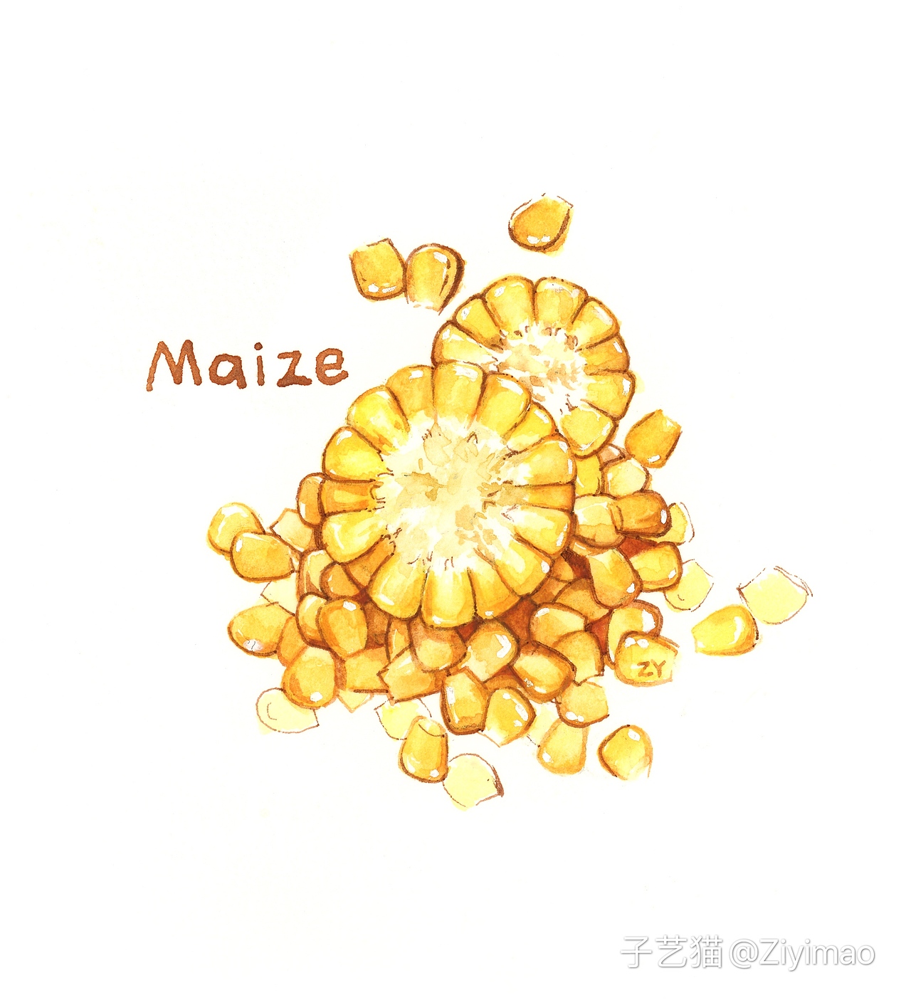 水彩-IELTS词汇书插图（图ZMTk1NDI0OTA4） - 商业插画 - 站酷设计师子艺猫原创素材 - 站酷ZCOOL