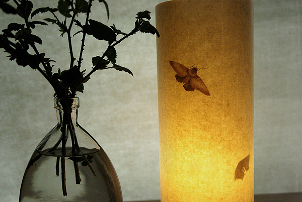 手工台灯（图ZMTY2NDEwOTY=） - 工艺品设计 - 站酷设计师沈遇原创素材 - 站酷ZCOOL