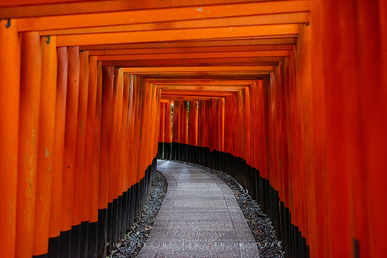 独自一人初涉日本，为期12天的自由行——京都篇（1）（图ZMTE5NzEwNzI4） - 风光摄影 - 站酷设计师断木成林原创素材 - 站酷ZCOOL