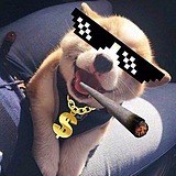 禾咚咚的头像