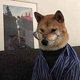 魏燃的头像
