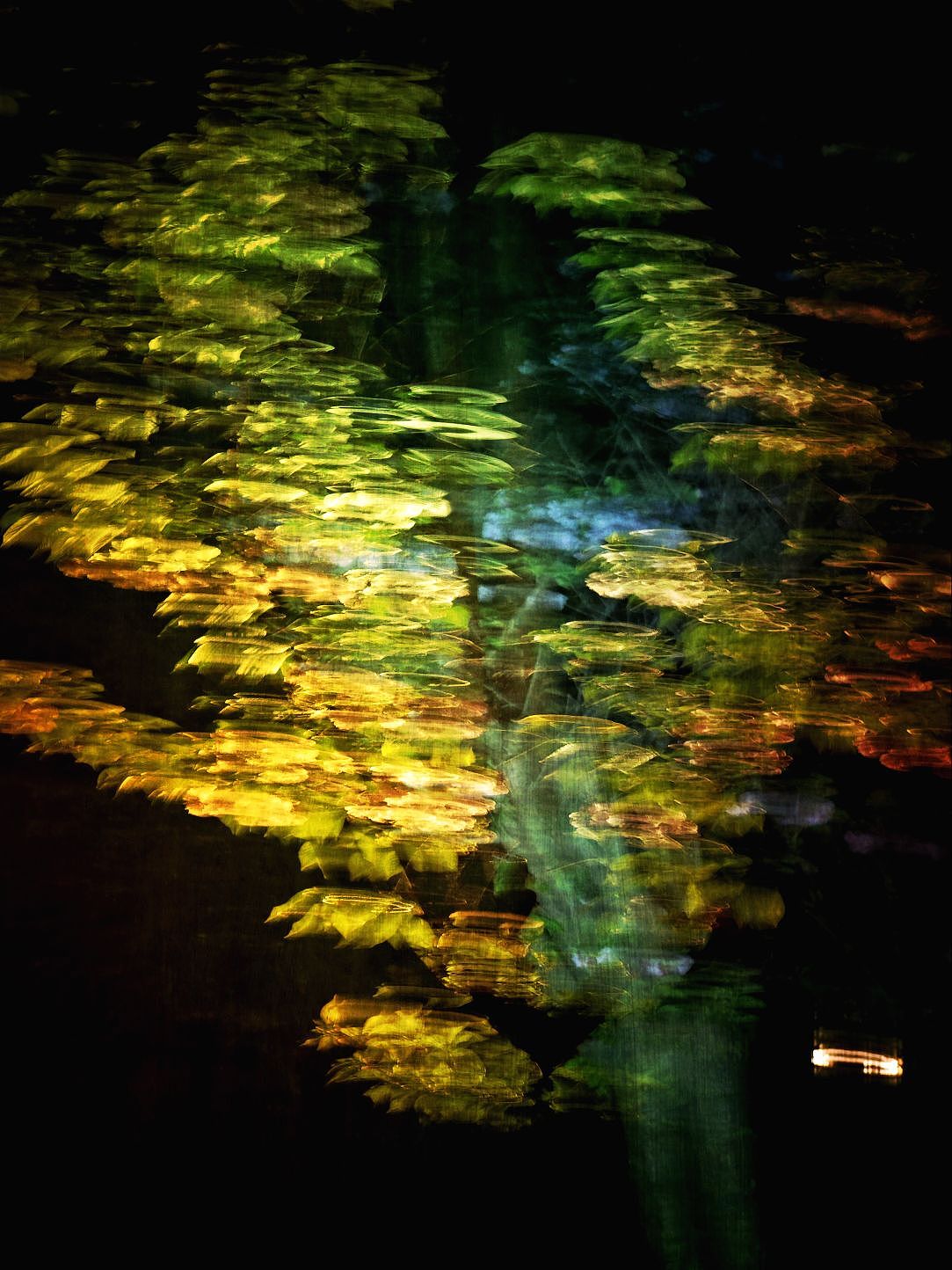 夜色搖曳（圖ZMzM2NDM5NzY4） - 其他攝影 - 站酷設(shè)計師大鵬映象原創(chuàng)素材 - 站酷ZCOOL