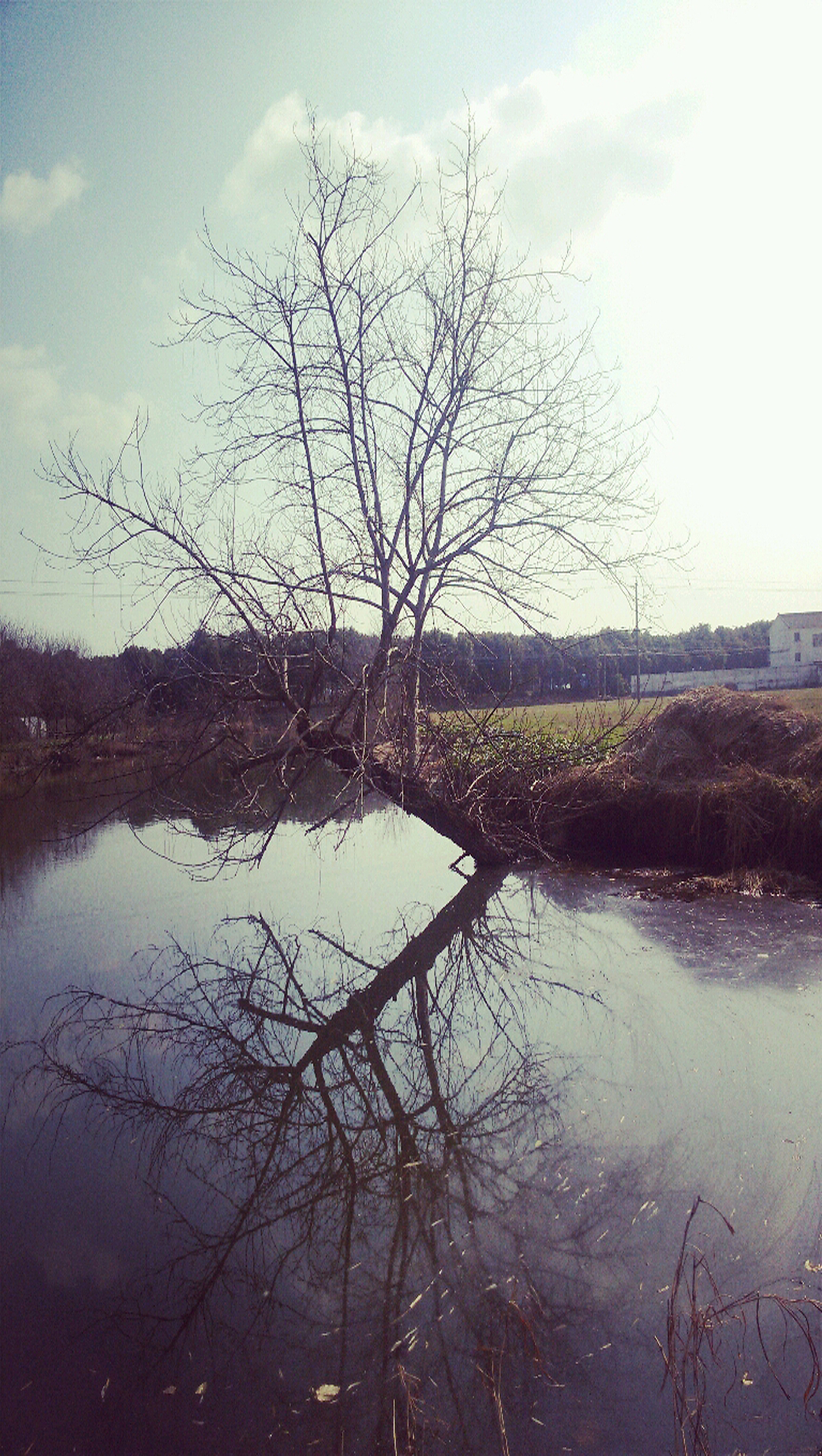 冬日·静谧（图ZMzY2ODU3MzI=） - 其他摄影 - 站酷设计师IssueBeam原创素材 - 站酷ZCOOL