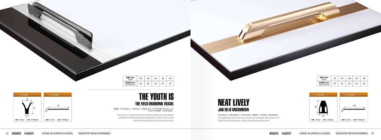 企业画册/画册排版/平面设计/版式设计/封面封底