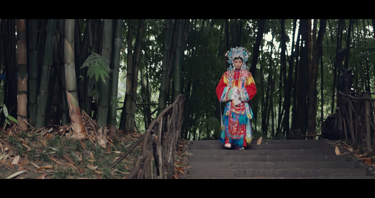 鬓边不是海棠红 | 人生犹如戏中人 你方唱罢我登场