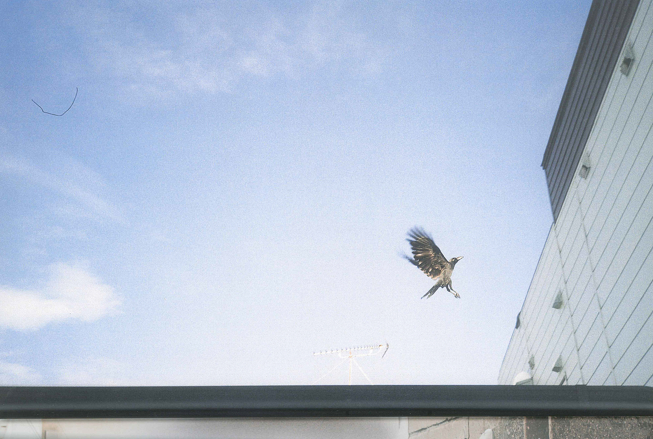 十二月十五日天气晴零下五度 ​​​​（图ZMTQwNzM1MjQ4） - 人像摄影 - 站酷设计师NiccoCai原创素材 - 站酷ZCOOL