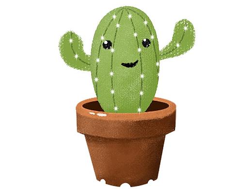 仙人掌植物-插画