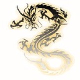假XK如的头像