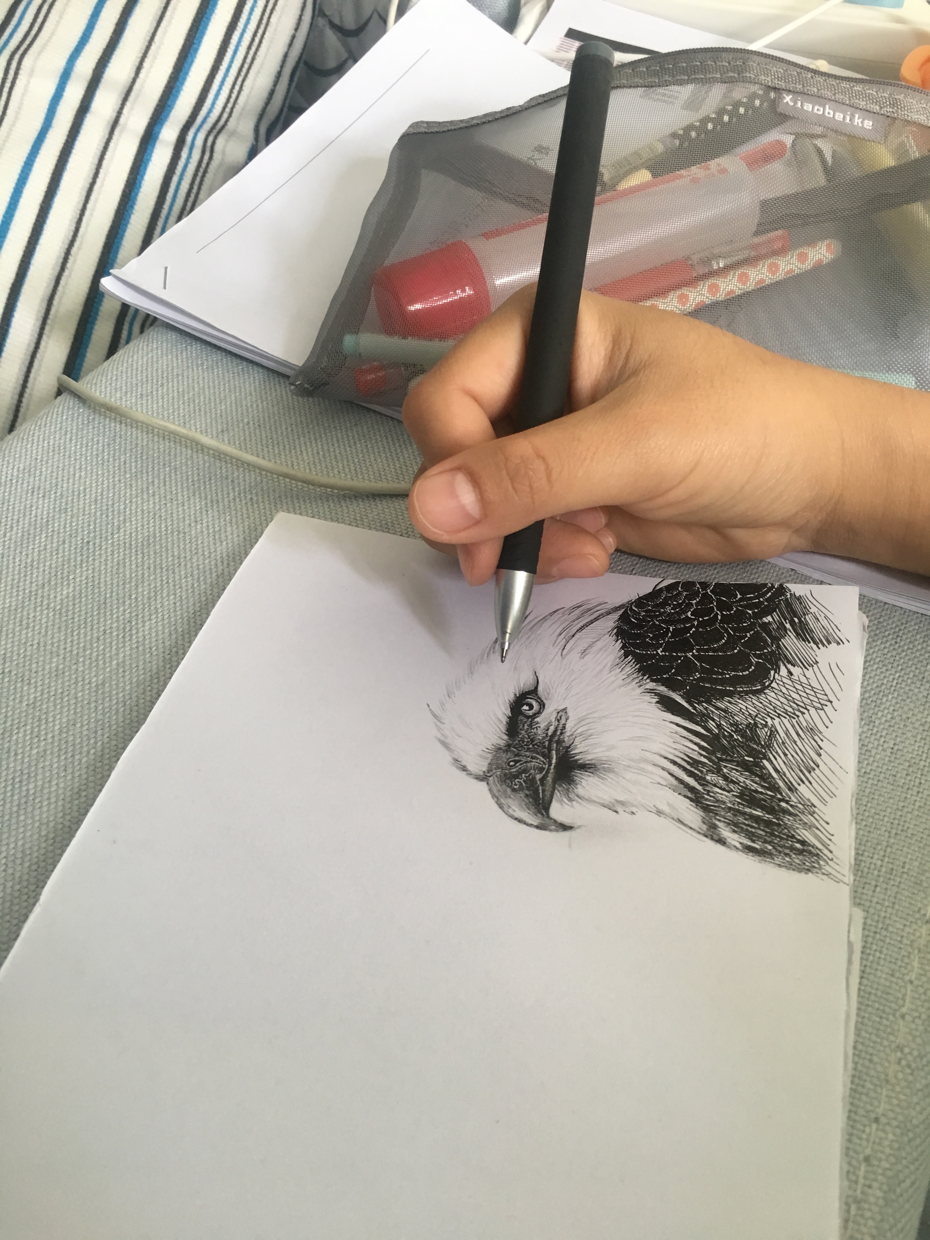 鹰|纯艺术|钢笔画|小邪子 - 原创作品 - 站酷 (zcool)