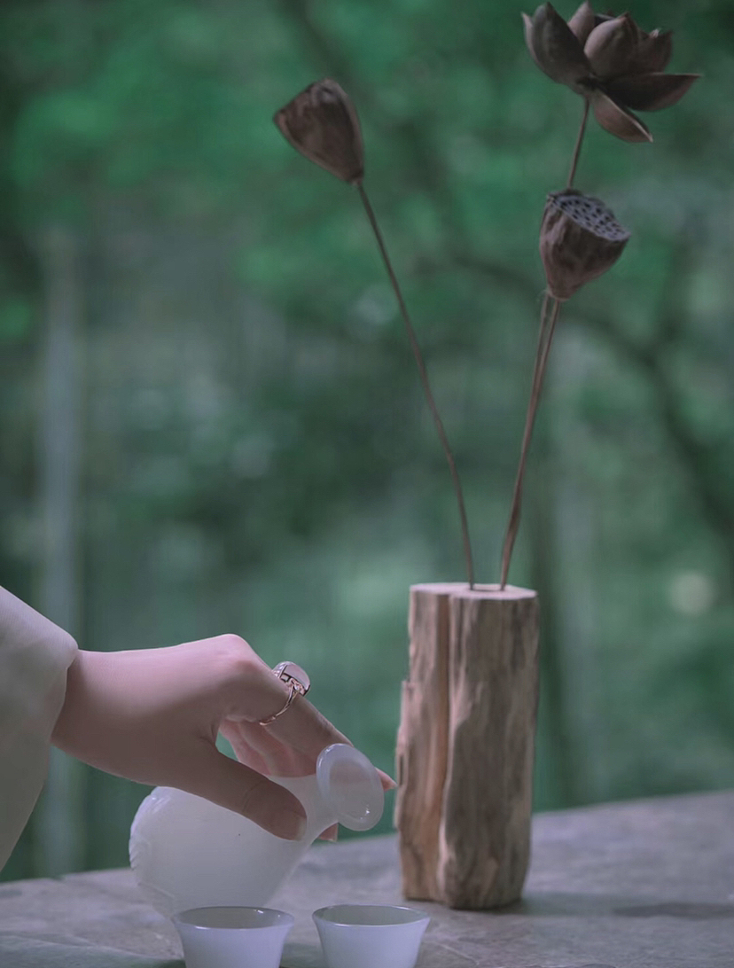 傍水依山有人家，落在天涯远繁华。