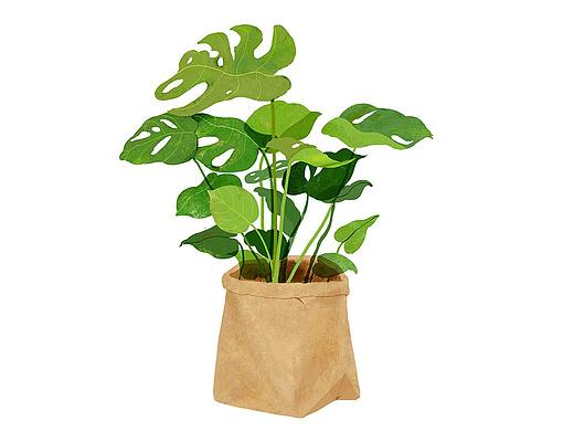北欧植物系列
