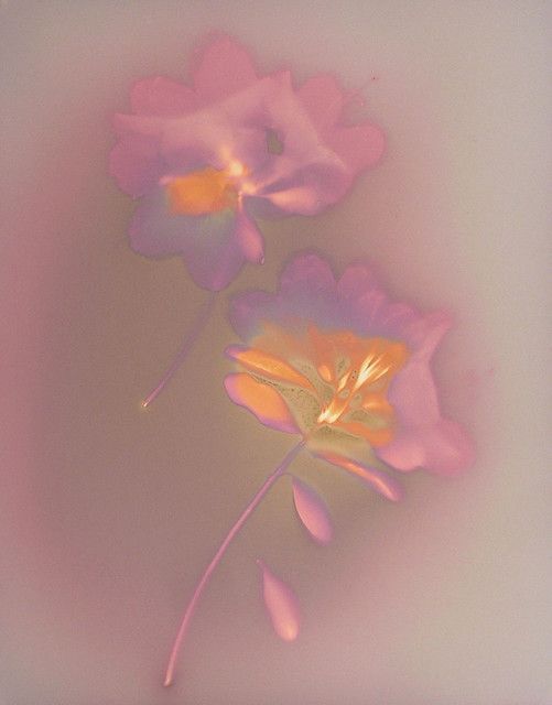 Camille柯柯的个人主页（背景预览） - 主页背景设置 - 站酷设计师Camille柯柯原创素材 - 站酷ZCOOL