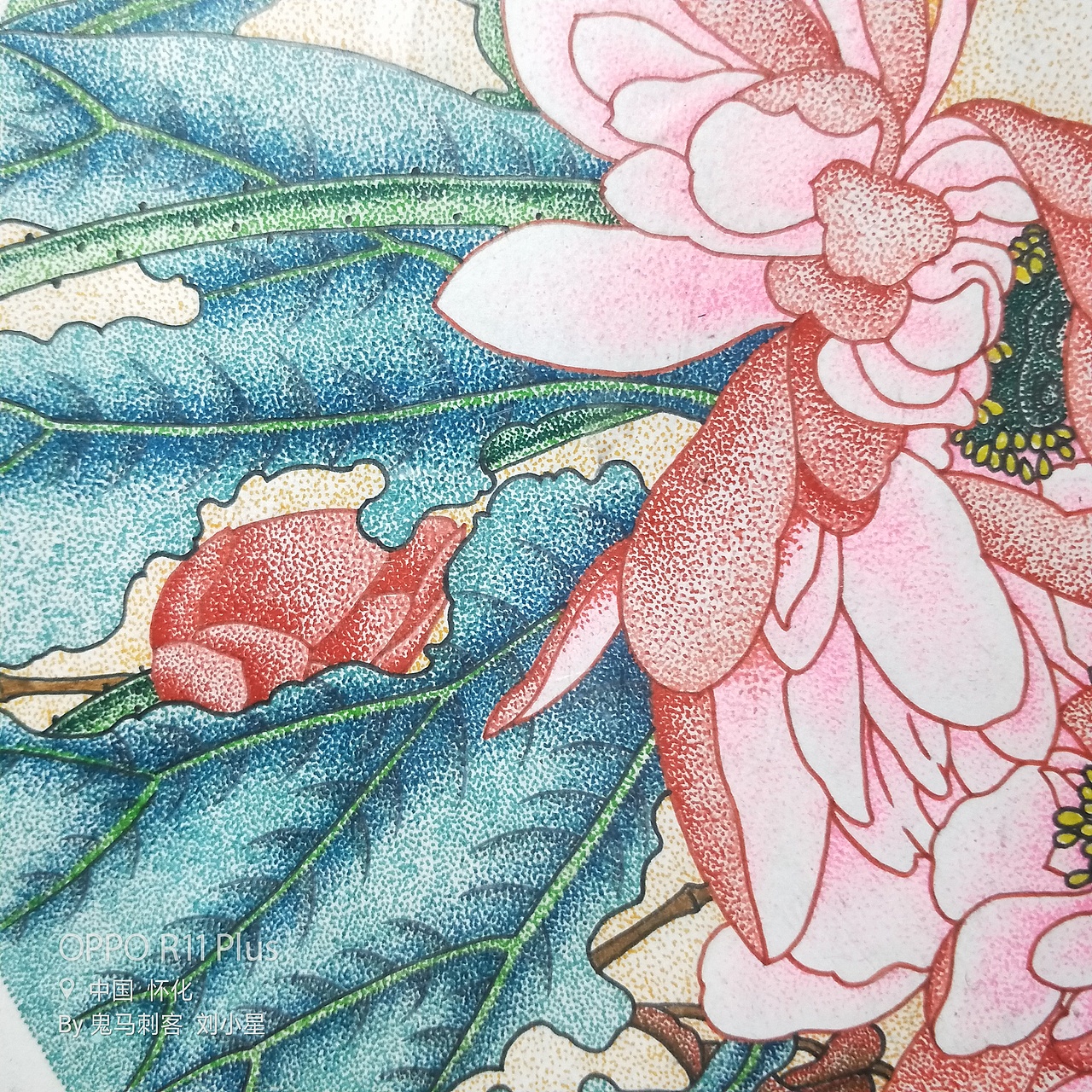 鬼马刺客彩色钢笔点绘:荷花.