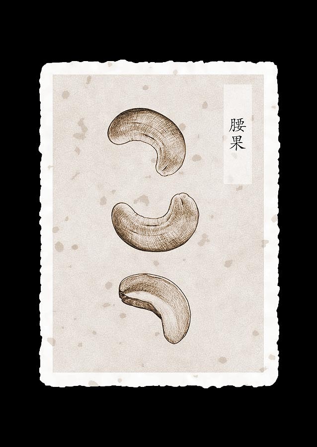 素描坚果（图ZOTE1MjUzNTY=） - 商业插画 - 站酷设计师quaint离奇原创素材 - 站酷ZCOOL