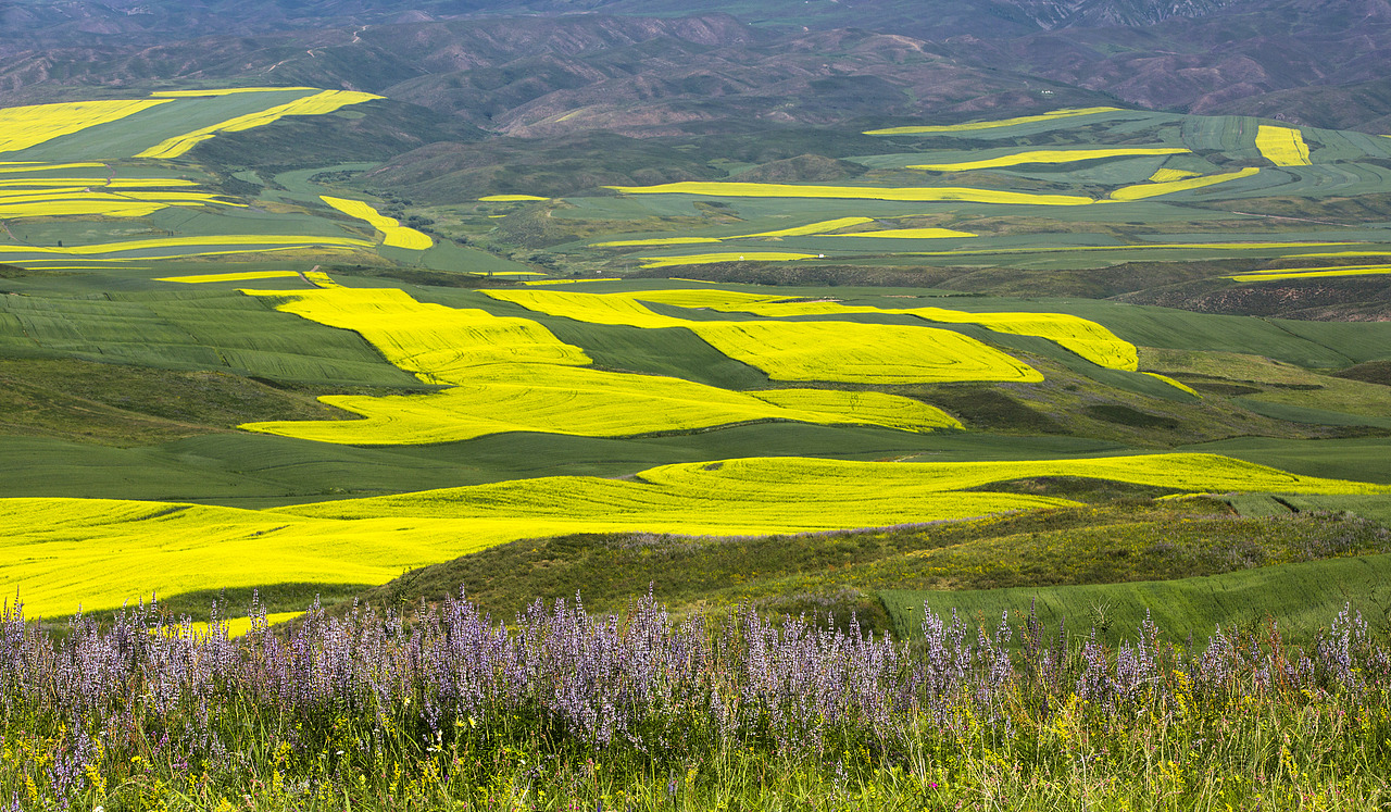 新疆塔城（图ZMTc3MTM5NTY0） - 风光摄影 - 站酷设计师新疆摄影家沈久泉原创素材 - 站酷ZCOOL