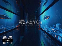 多媒体