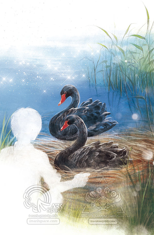 王晓俭《护蛋行动》