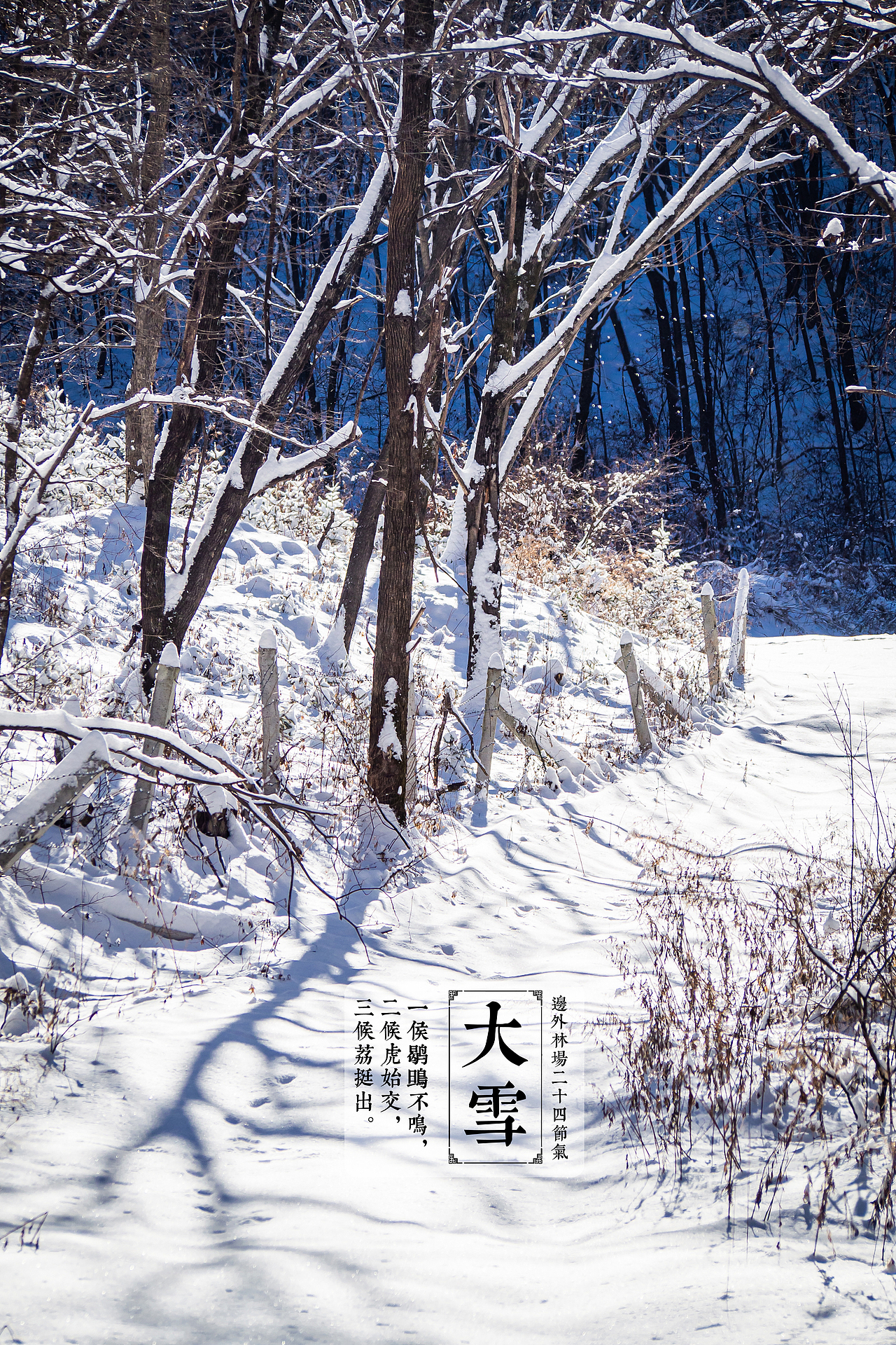 二十四节气之大雪 边外林场拍摄（图ZMTg5OTY5ODU2） - 风光摄影 - 站酷设计师边外林场原创素材 - 站酷ZCOOL
