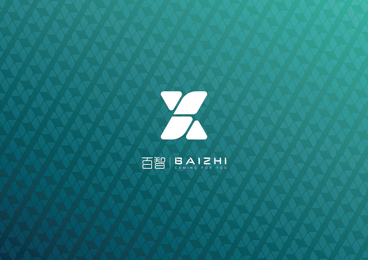 未来为你而来—百智