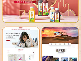 2020個(gè)人作品集