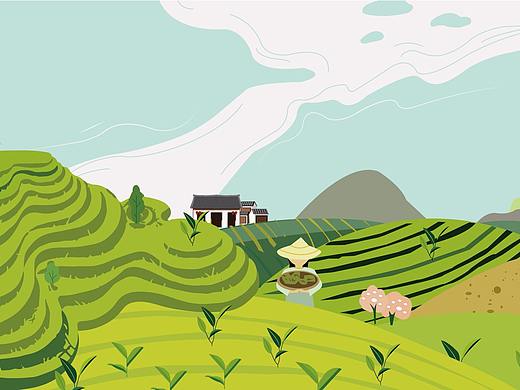 茶园