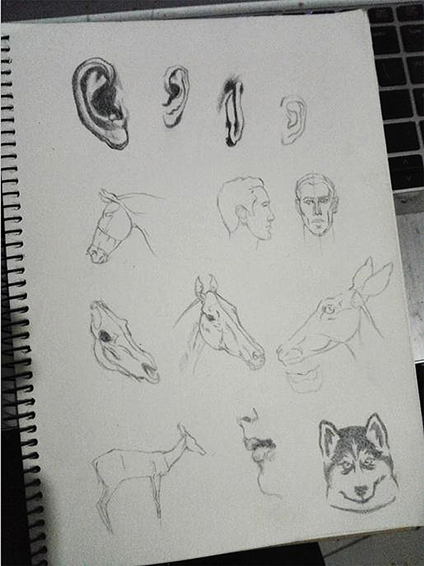 日常素描练习（图ZMTMwOTcyNDY4） - 绘画 - 站酷设计师木叶潇潇原创素材 - 站酷ZCOOL