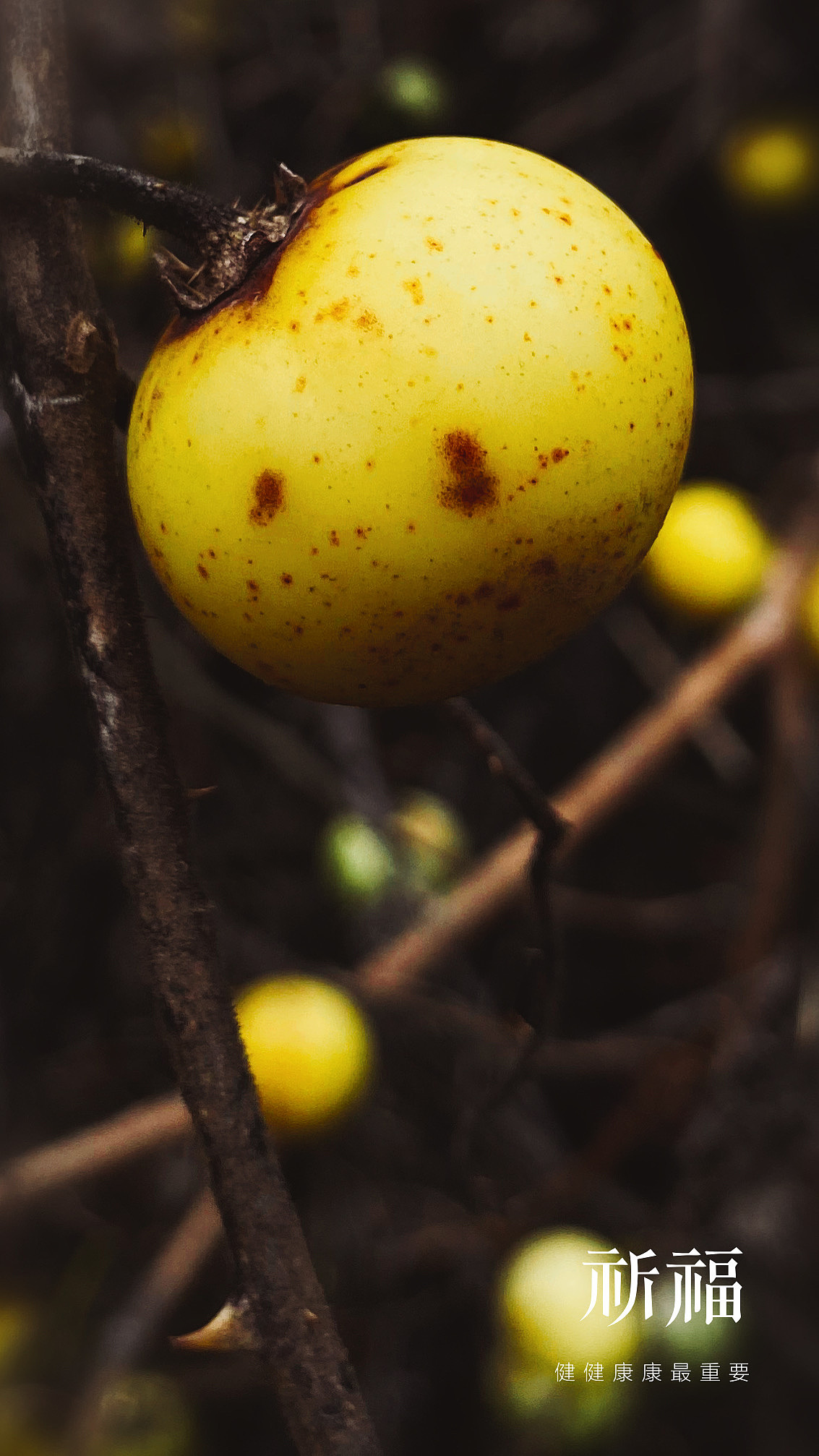 走在乡村的道路上