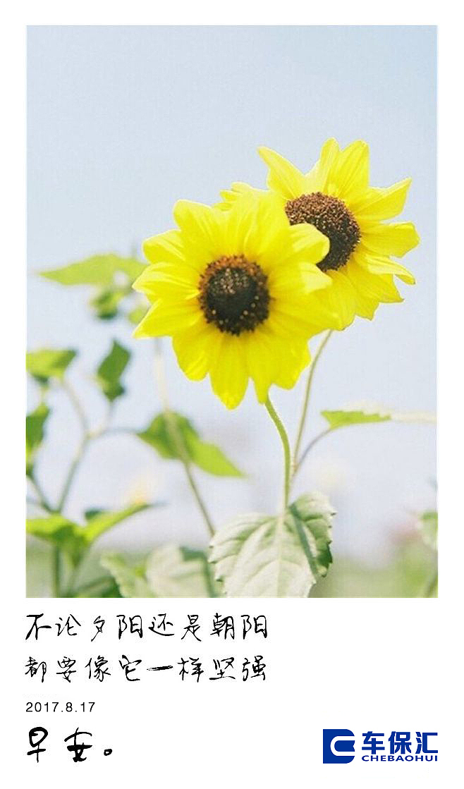 朋友圈（图ZOTEzNzcyMjQ=） - 宣传物料 - 站酷设计师薛福爱原创素材 - 站酷ZCOOL