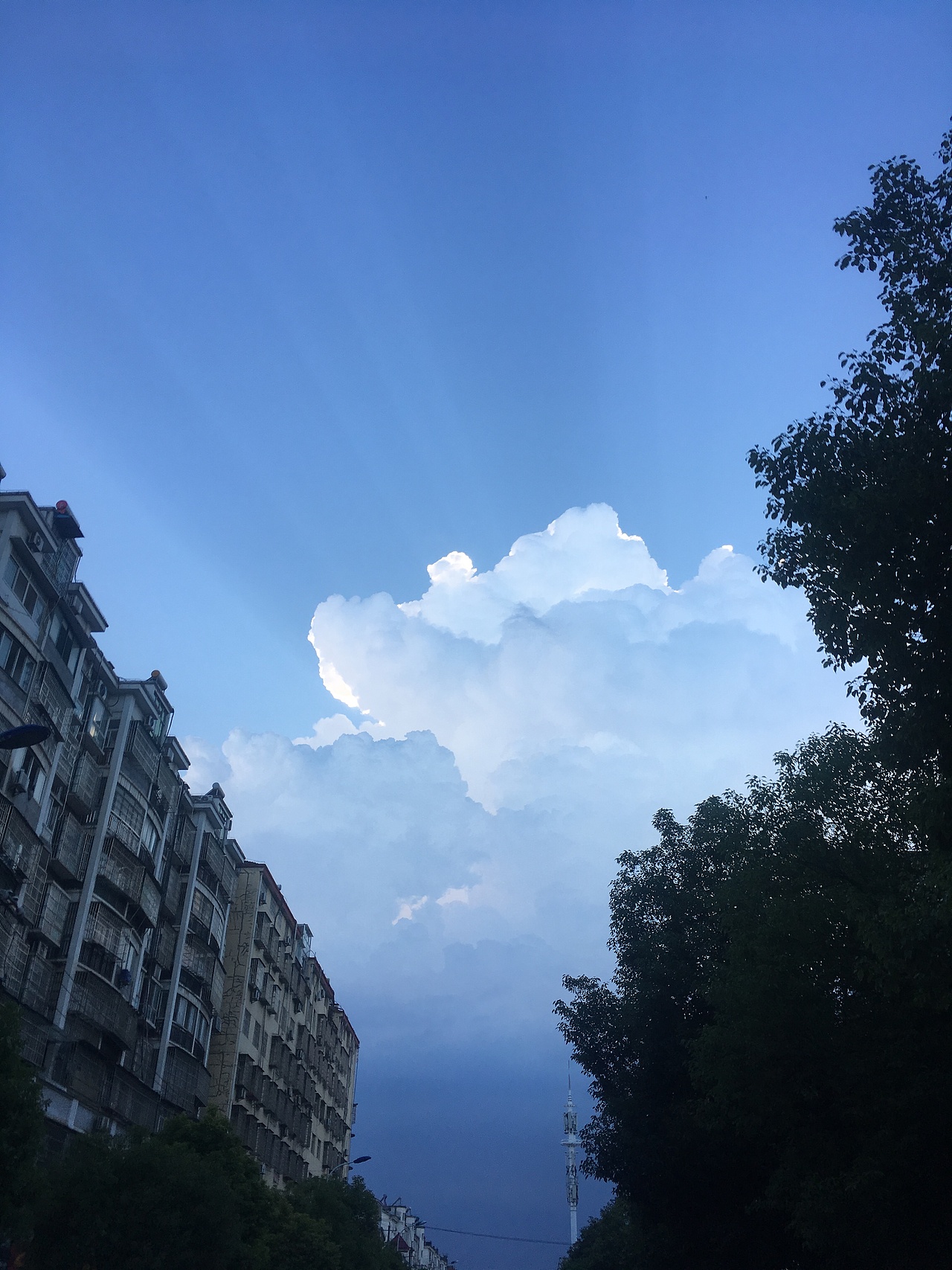 随拍练习——追一朵云