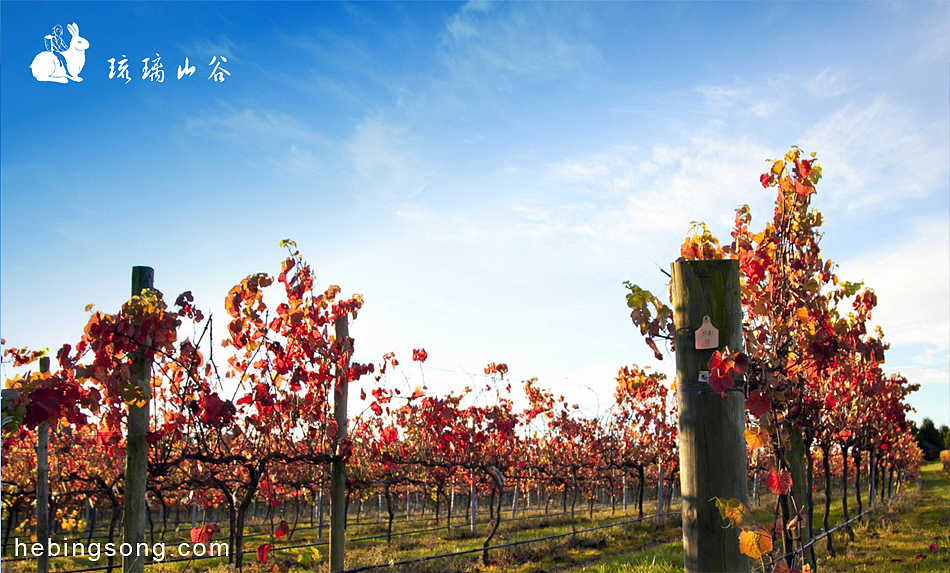 【设计】琉璃山谷